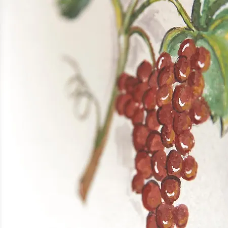 Garni Schoene Aussichten فندق