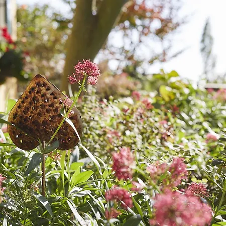 Garni Schoene Aussichten 4* Klöch