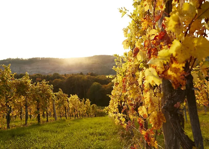 Garni Schöne Aussichten Hotel