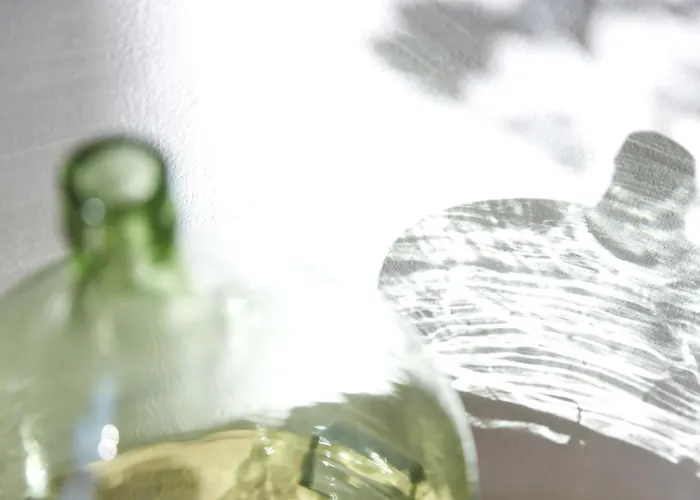 Hotel Garni Schoene Aussichten 4*